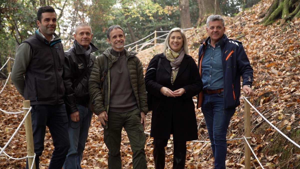 Gorizia valorizza il castagneto monumentale con 50mila euro dalla Regione - 