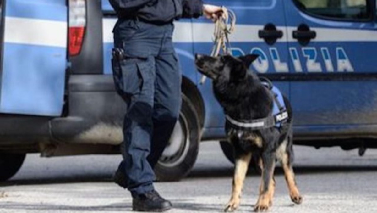 Controlli antidroga a Udine: cinque arresti e stupefacenti sequestrati - 