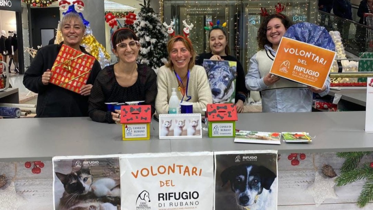Impacchetta un sogno: al centro Le Brentelle parte l’iniziativa solidale per il Canile di Rubano - 