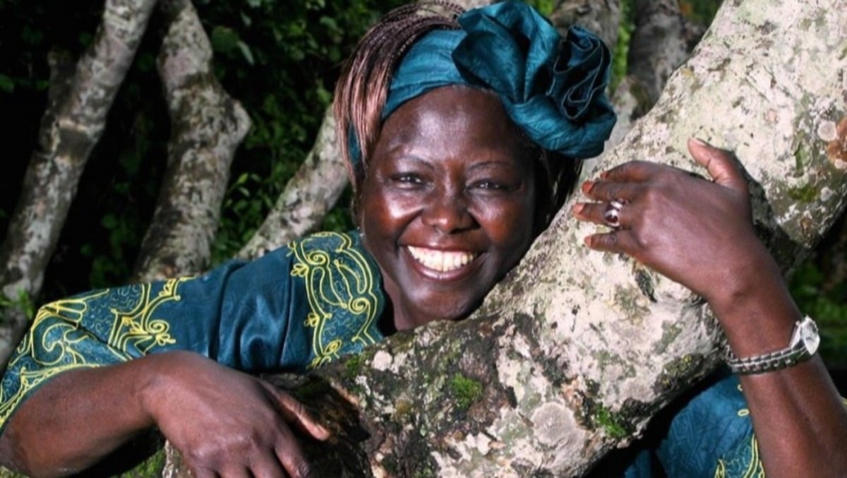 Doppio evento in Friuli Venezia Giulia per ricordare la Nobel per la pace Wangari Maathai - 