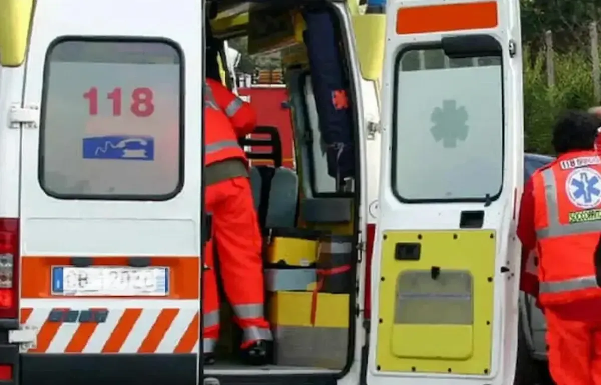 Cerca di dividere i cani che litigano, ma viene azzannata alla testa: trasportata in codice rosso - 