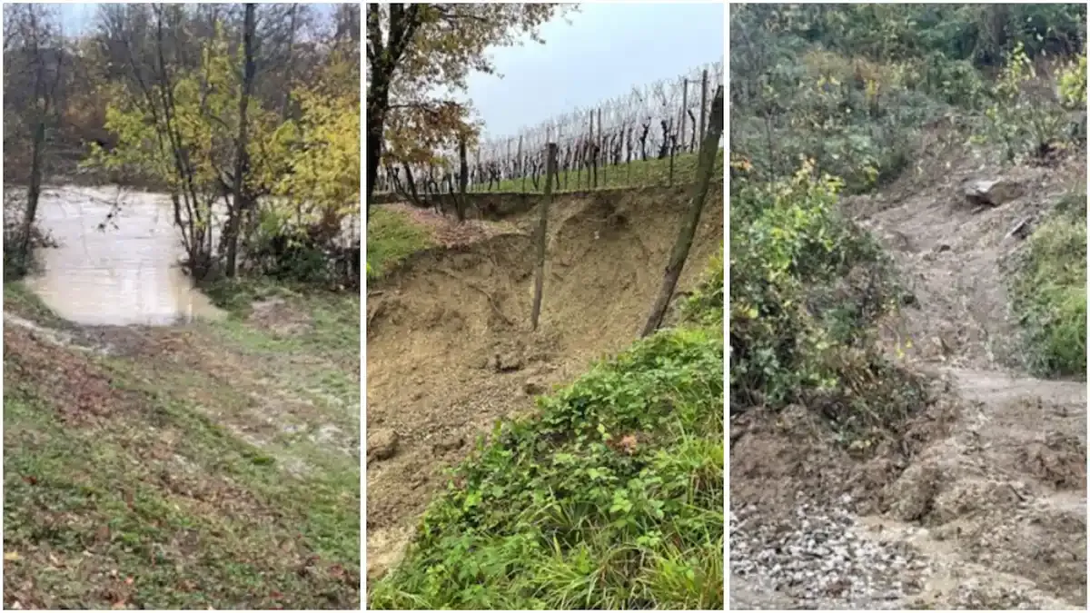 Maltempo in Friuli: frane e allagamenti devastano anche i Colli Orientali e le aziende vitivinicole  - 
