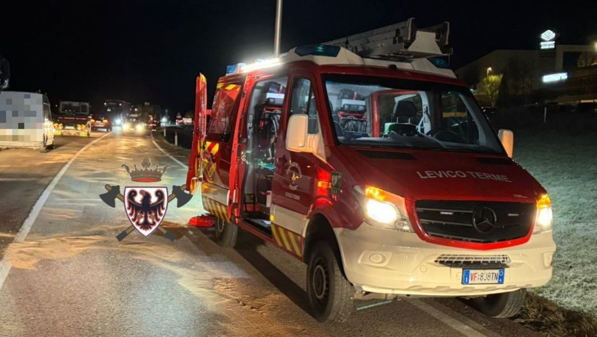 Due cervi investiti e uccisi sulla Statale nella notte, veicoli fuggiti dopo lo schianto - 