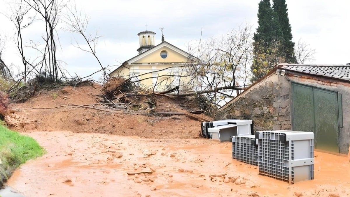 Danni da maltempo nel Goriziano, l'appello di Confagricoltura FVG: "servono interventi strutturali" - 