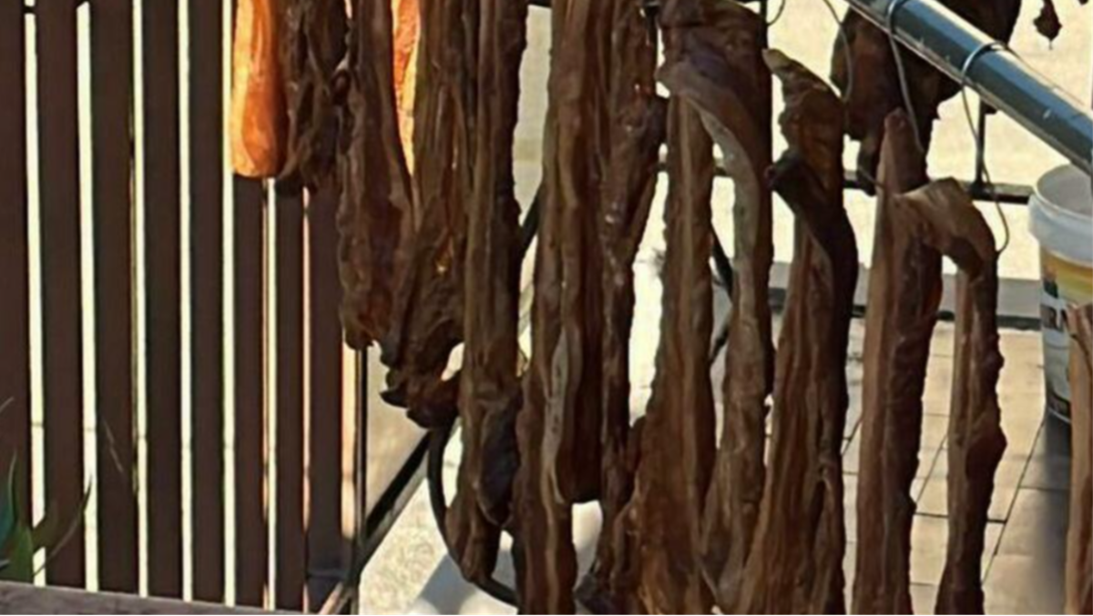 Carne appesa sul balcone ad essiccare: cattivo odore, insetti e persino gocce di sangue - 
