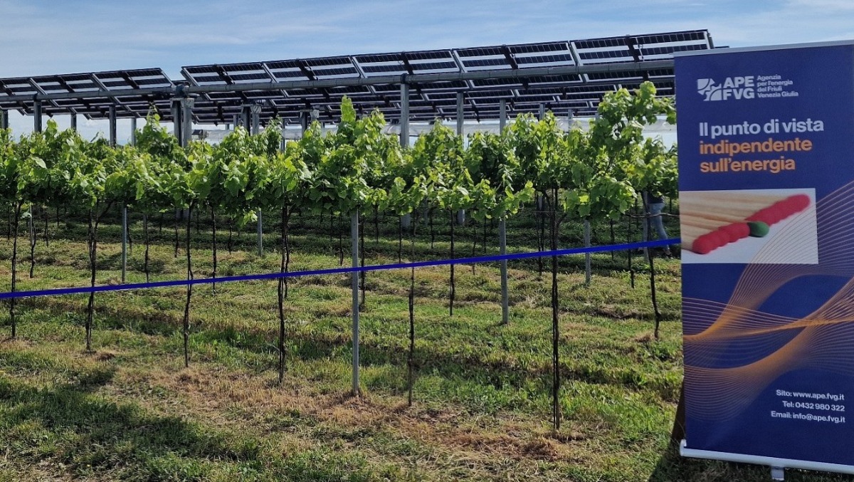 Agroenergie in crescita: Ape Fvg forma e supporta più di 170 aziende del territorio - 