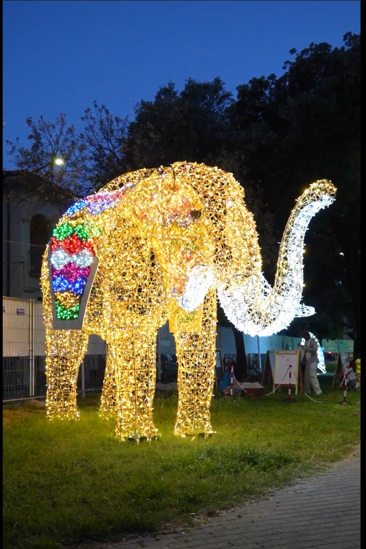 Cervignano si accende di magia: arriva lo Zoo luminoso e un Natale tra eventi, musica e tradizioni - 