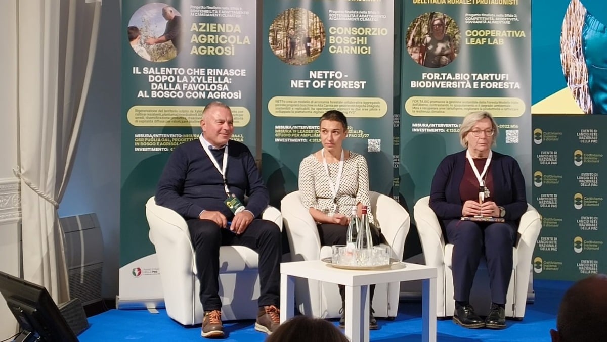 Riconoscimento nazionale ai Boschi Carnici: il modello che trasforma i boschi in un bene comune - 