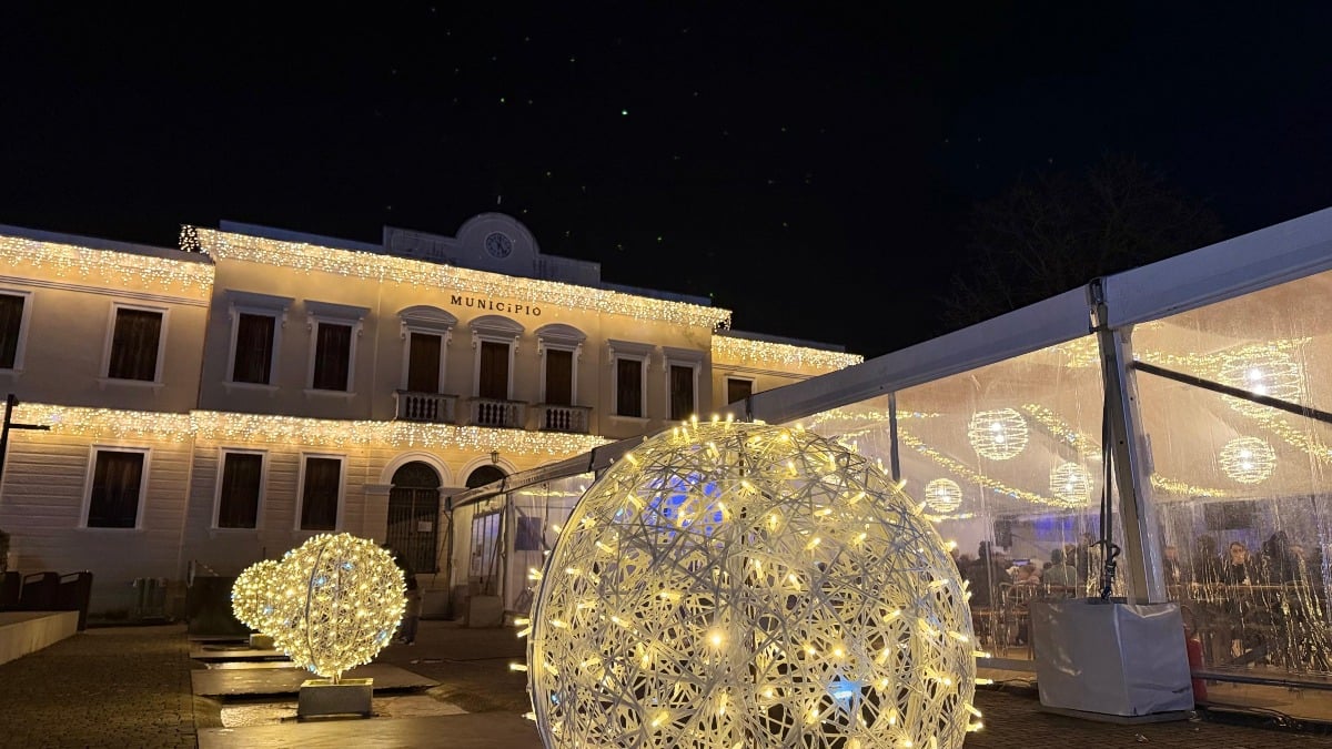 Quinto di Treviso accende le luminarie e si prepara alla mostra del Radicchio Rosso IGP dopo 36 anni - 