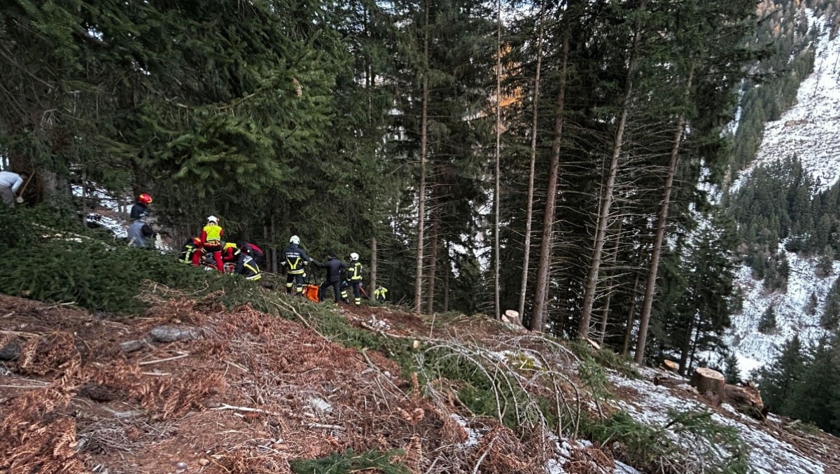 Resta schiacciato tra due tronchi mentre lavora: boscaiolo elitrasportato in ospedale - 