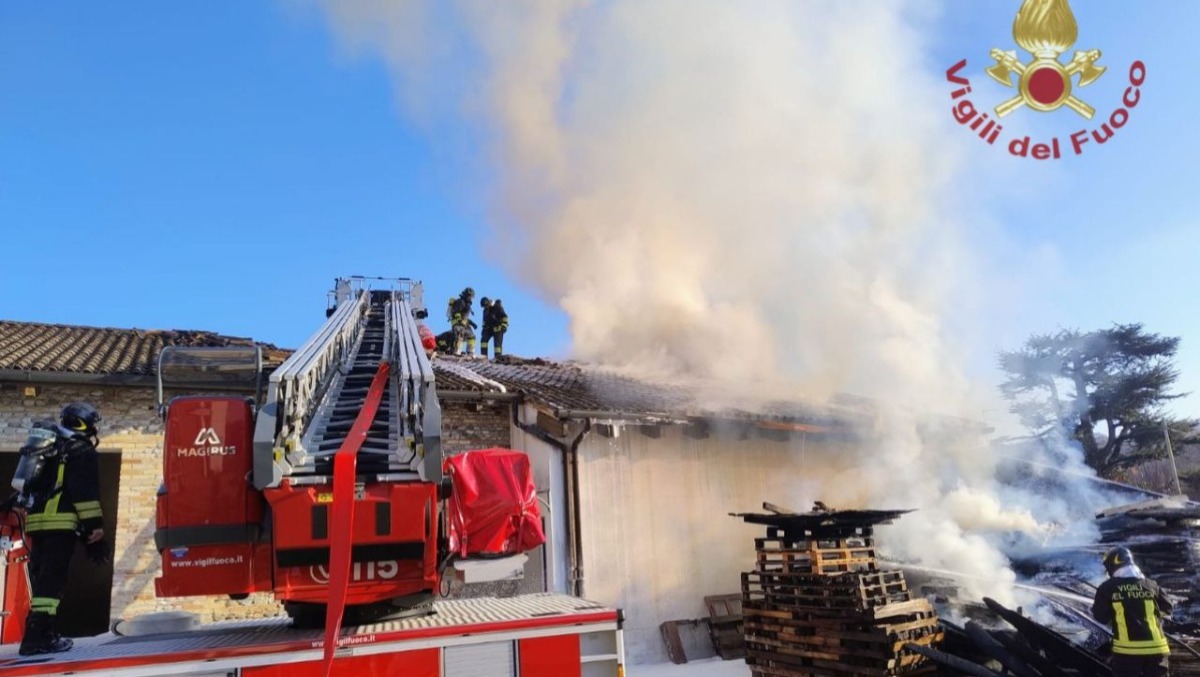 Rogo improvviso: bancali in fiamme e tetto del magazzino danneggiato - 