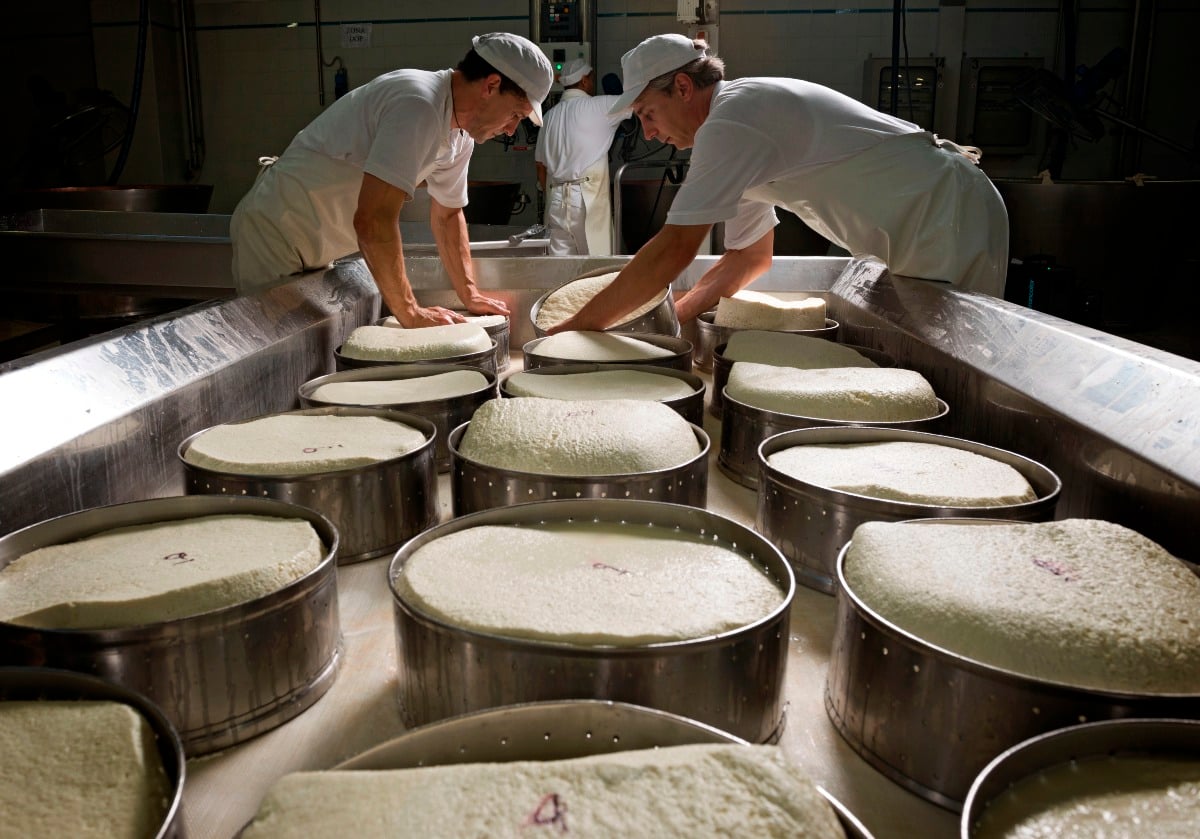 Asiago DOP sostenibile: Latterie Vicentine premiata con la certificazione Made Green in Italy - 