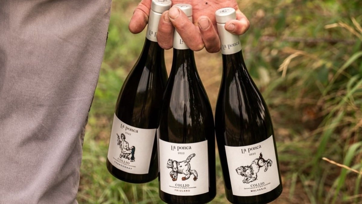  Dolegna del Collio, La Ponca conquista critici e guide: «la Malvasia 2022 tra i vini più premiati» - 