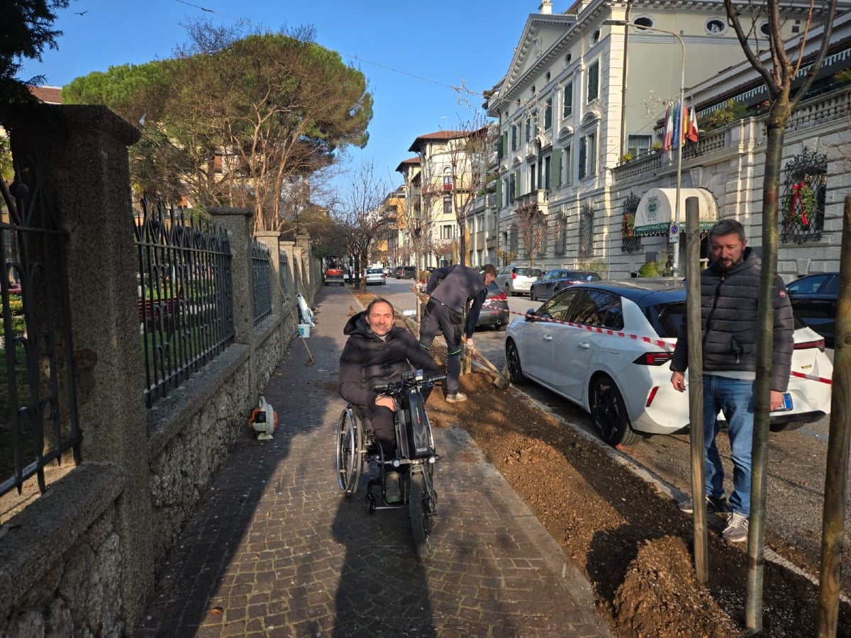 Udine. Nuovo verde in via Carducci: 43 ciliegi si inseriscono nel piano delle piantumazioni - 