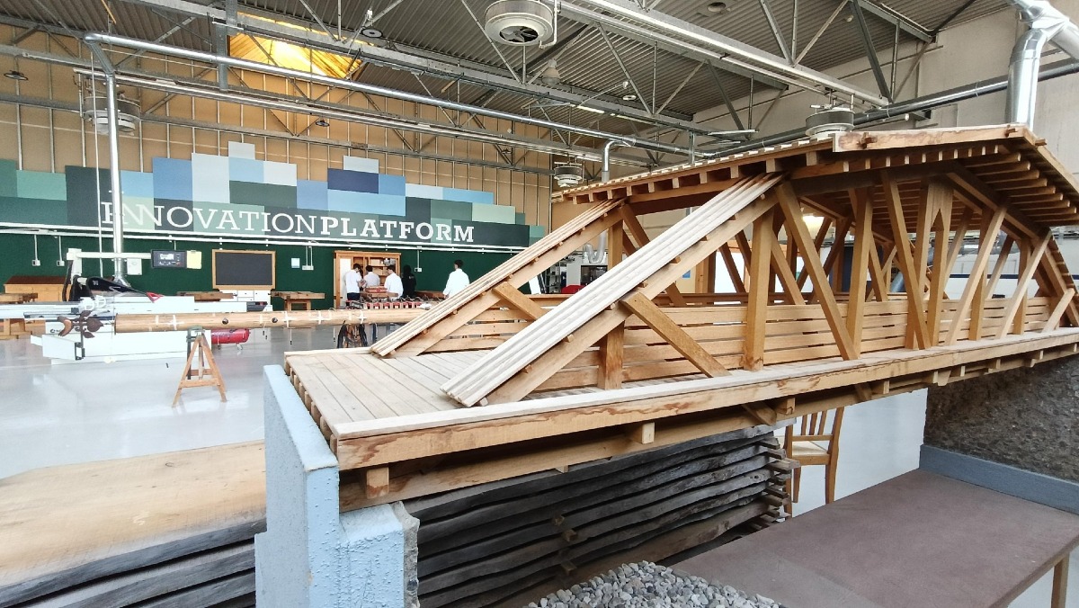 Il Friuli apre al "Tecnico geo-forestale". Ecco la nuova figura e di cosa si tratta - 