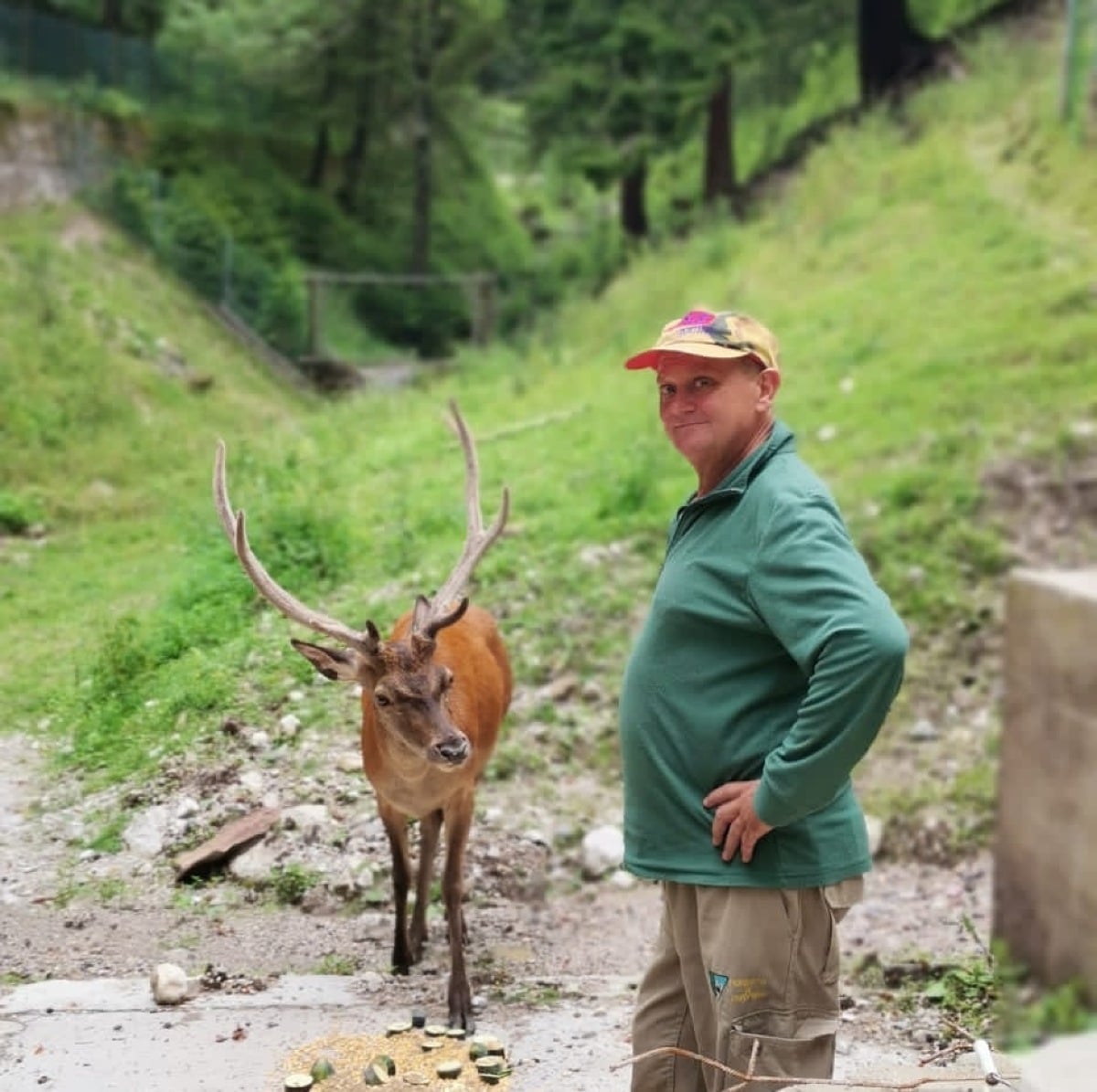 Era morto da diversi giorni, i cani si sono cibati dei suoi resti: Flavio era vicino alla pensione - 