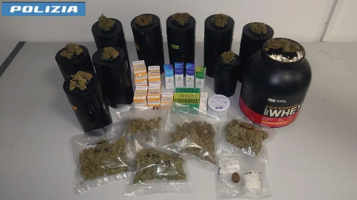 Resistenza a pubblico ufficiale, furti e cannabis shop denunciati: cosa è successo in provincia di Udine - 