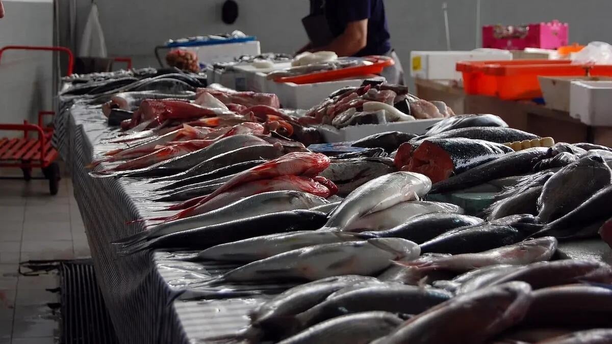 Pesce senza tracciabilità destinato alle tavole: sequestrati 15kg di prodotti ittici - 