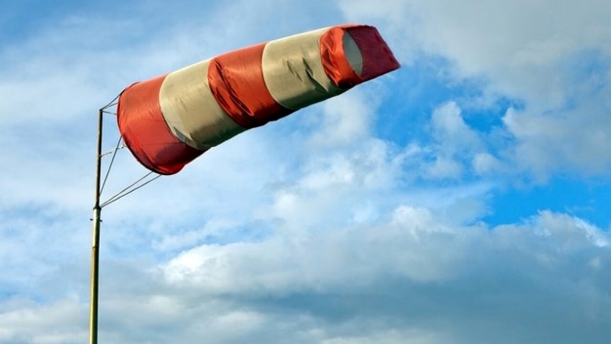 Meteo FVG, vento fortissimo: divelte recinzioni, alberi caduti, onde alte quasi 5 metri - 