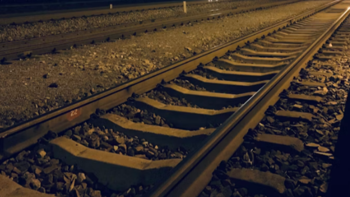 Treno in transito investe un gregge di pecore: in corso la rimozione delle carcasse dai binari - 