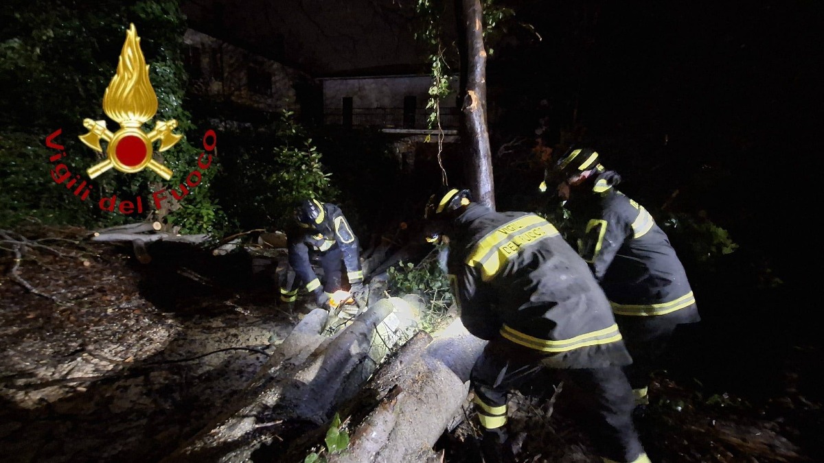 Danni da vento forte nella Marca, notte di lavoro per i pompieri: i comuni più colpiti  - 