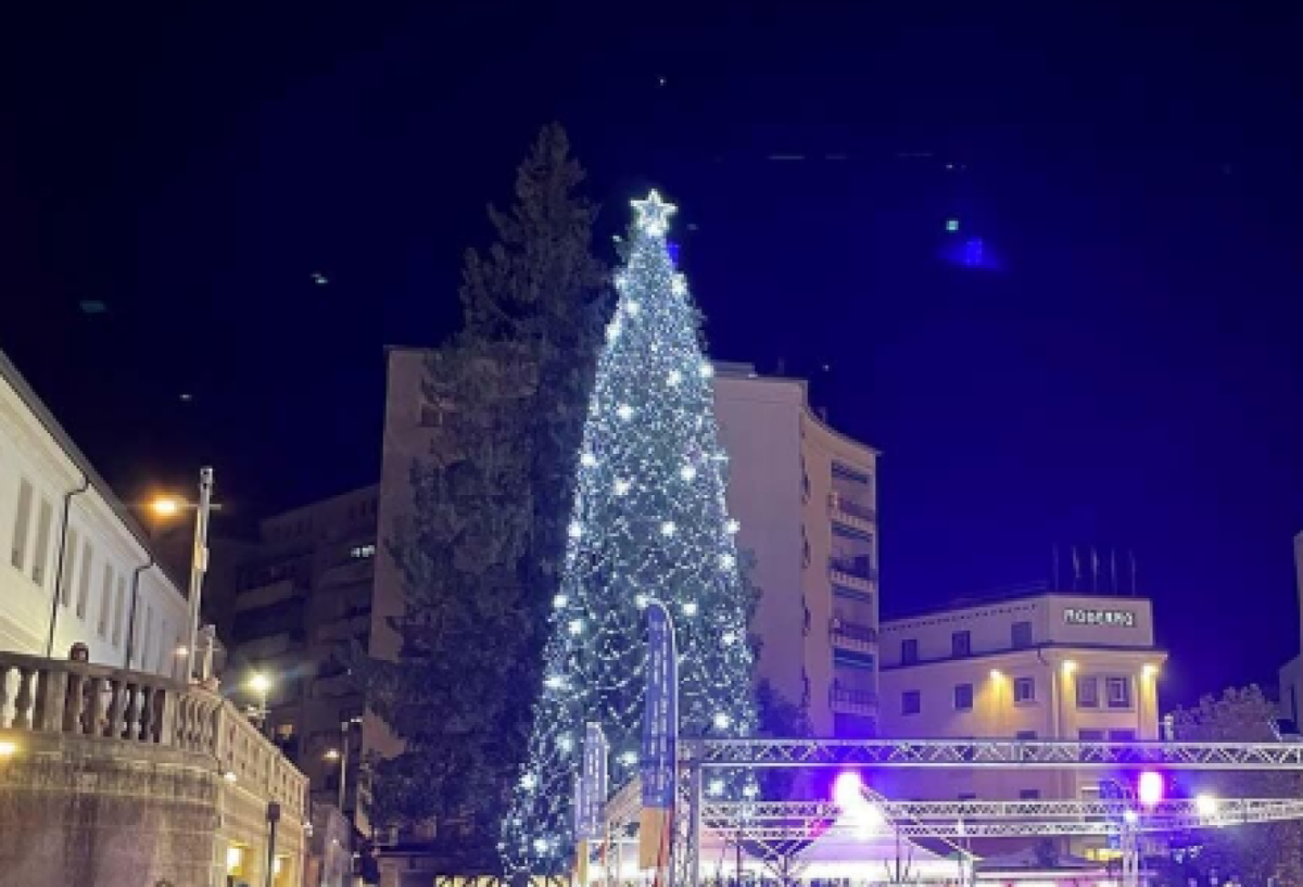 Premio Stella di Natale 2025: celebrazione e riconoscimenti a Pordenone - 