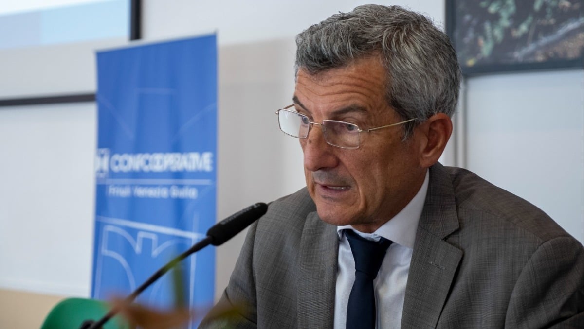 Confcooperative FVG, i numeri del bilancio 2025: 22mila addetti e ricavi per 1,3 miliardi - 