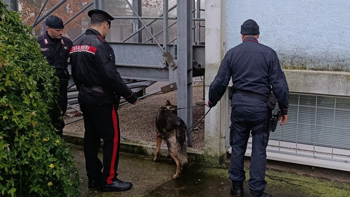 Gli trovano nel giubbotto il cellulare rubato a Udine: cosa hanno scoperto le autorità - 