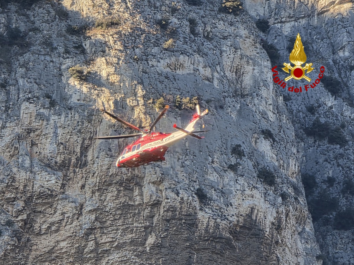 Camoscio impigliato sulla parete di roccia: intervento aereo e terreno coordinato | VIDEO - 