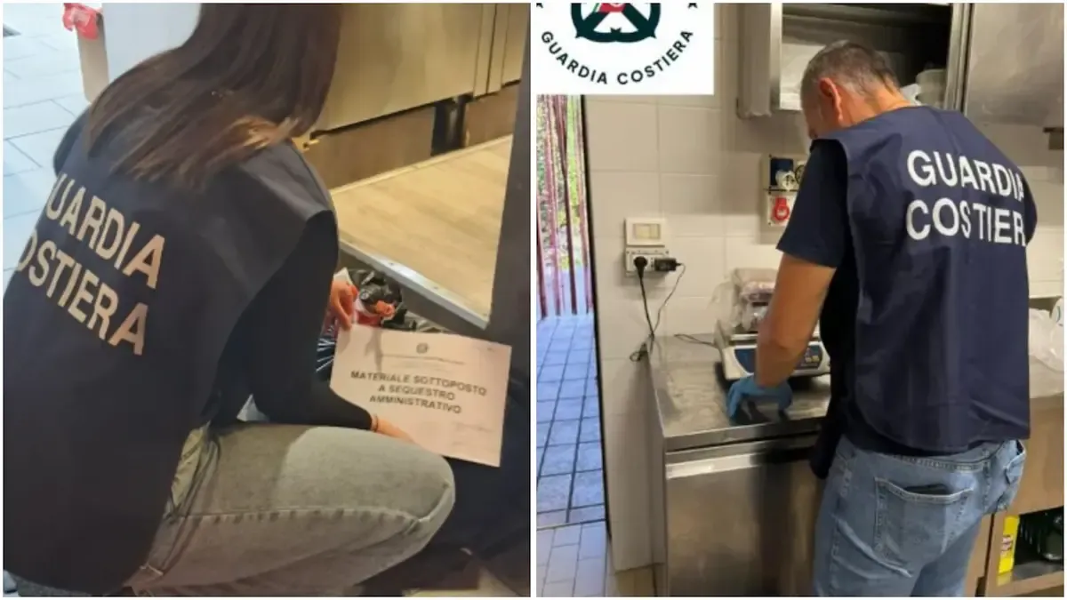 Pesce scaduto e senza etichetta in FVG: 250 kg sequestrati durante le feste - 