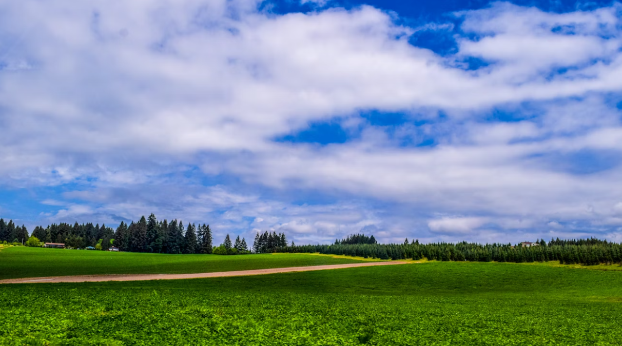 Qualità dell’aria in FVG: tutti i dati raccolti nel 2025 su ozono e polveri sottili - 