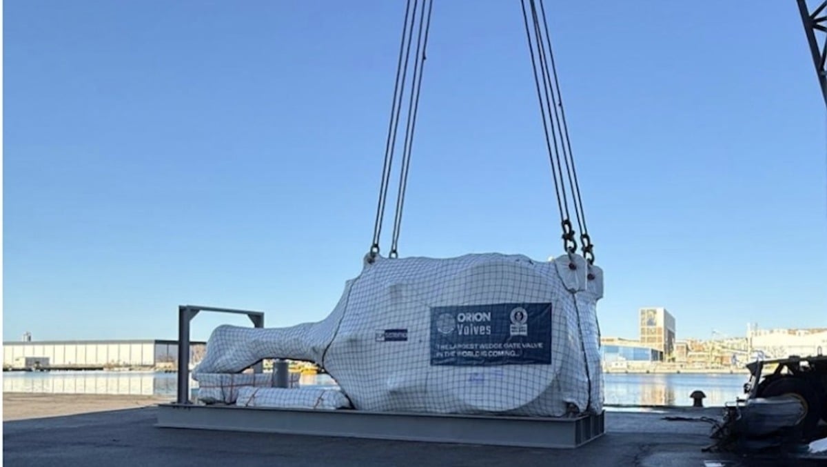 La valvola da record lascia Trieste: destinazione Arabia Saudita - 