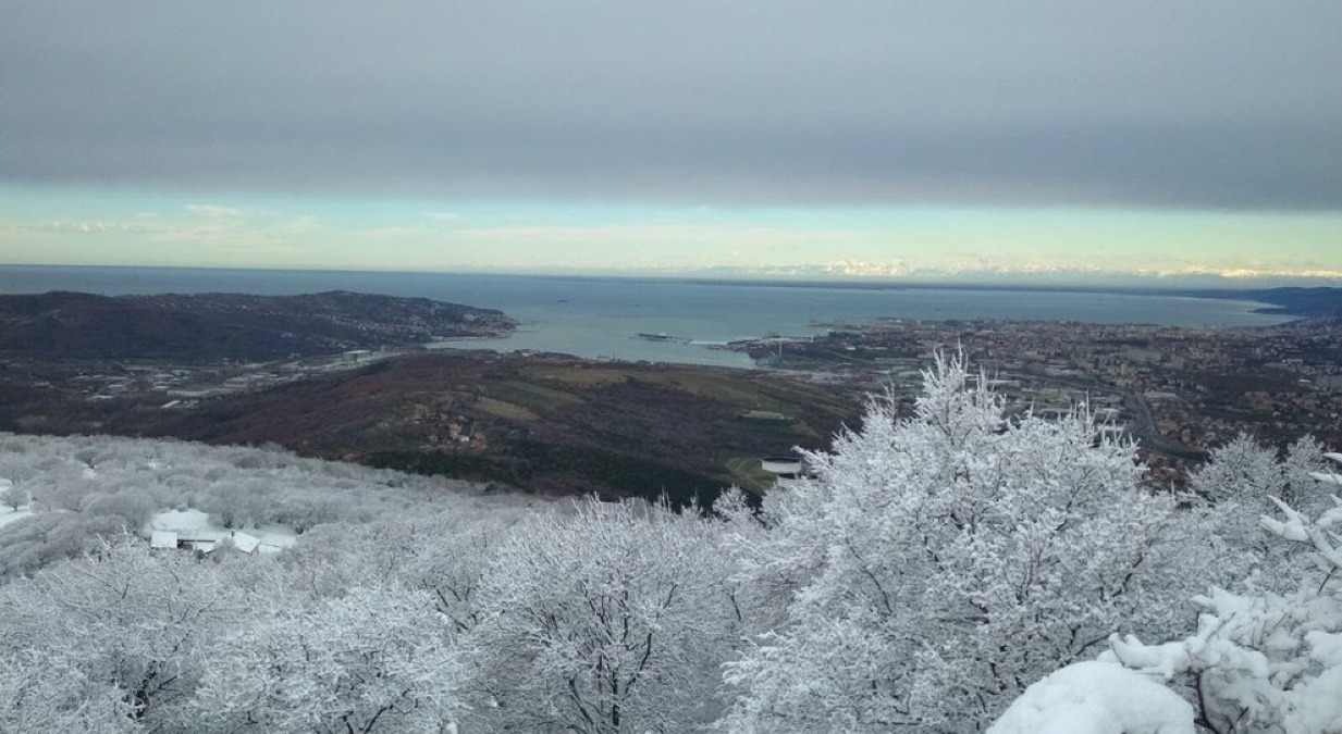 La neve torna a imbiancare Trieste: domani bora oltre i 100km/h e temperature in discesa  - 