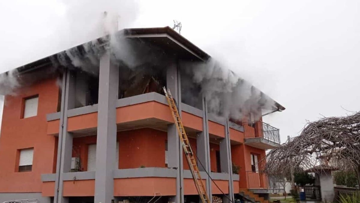 Colonne di denso fumo nero fuoriescono dalle finestre, rogo in una palazzina: labrador perde la vita - 