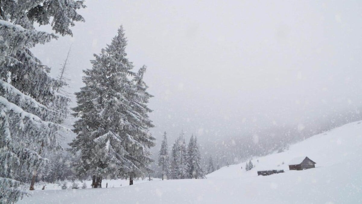 Veneto, temperature da congelatore: toccati i -22° - 