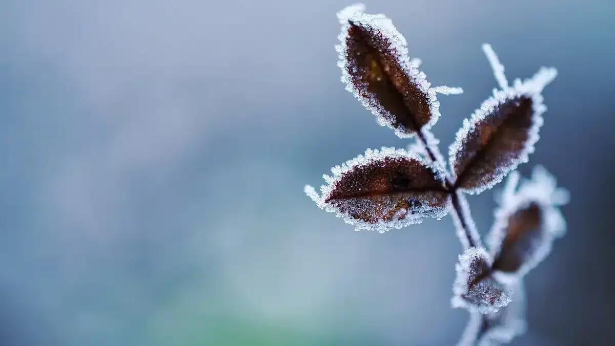 Gelo da record in Friuli Venezia Giulia: raggiunti i -20° - 