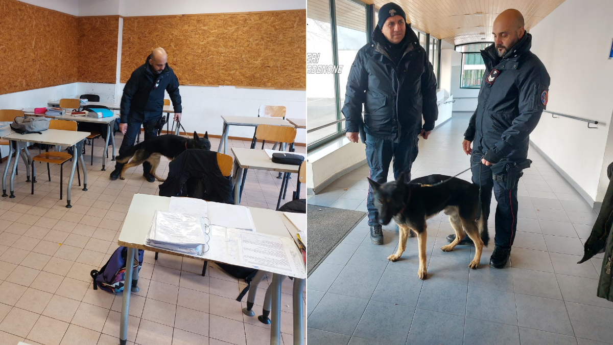 Ispezione a sorpresa allo IAL di Aviano: controlli a tappeto dei Carabinieri - 