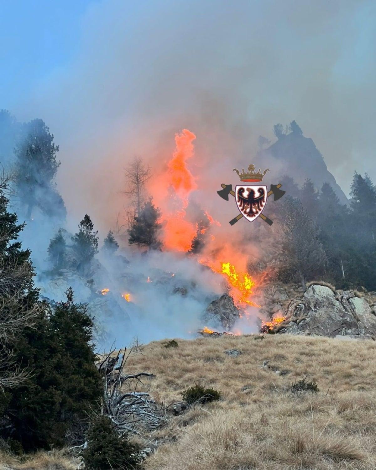 Tremendo incendio boschivo: in fiamme 300 metri quadrati di vegetazione - 