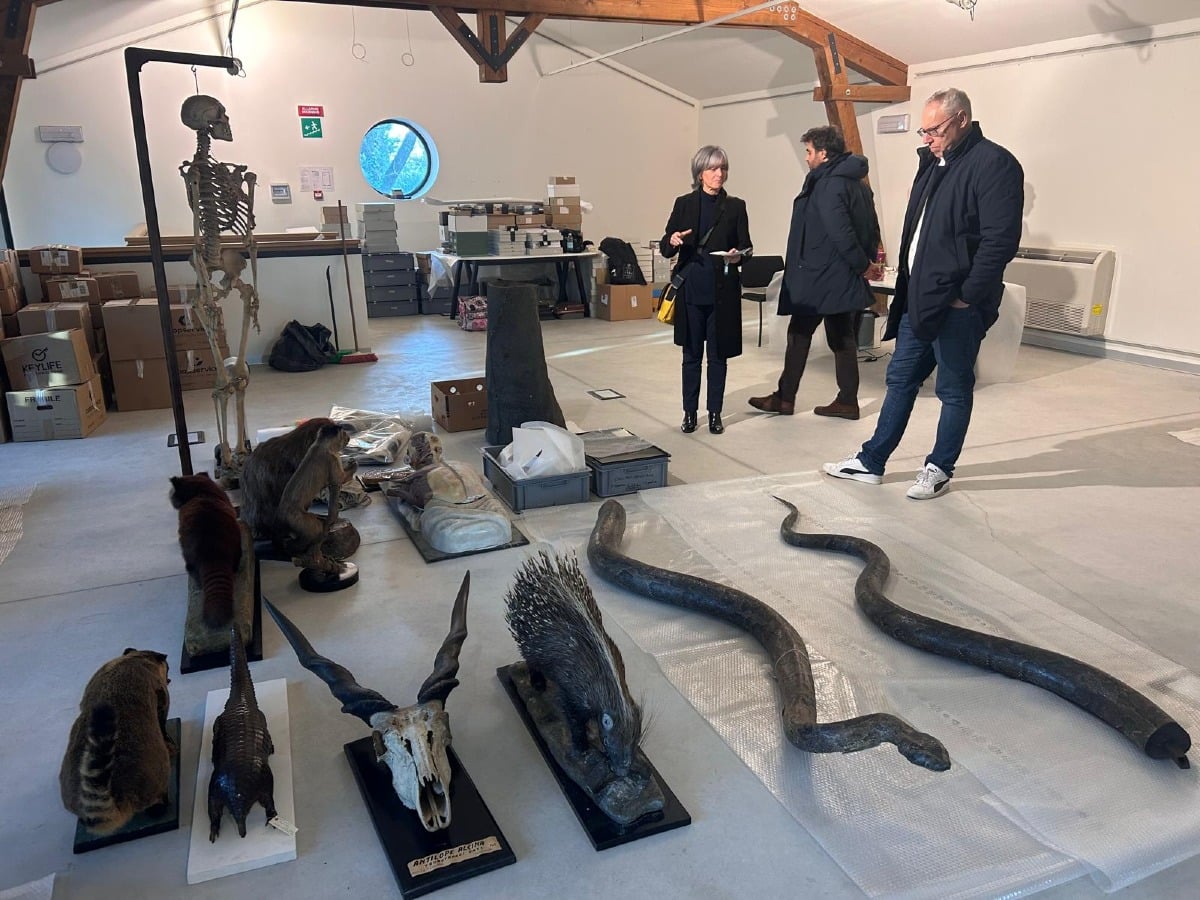 Museo di storia naturale, oggi la visita del Presidente del Consiglio regionale Bordin - 