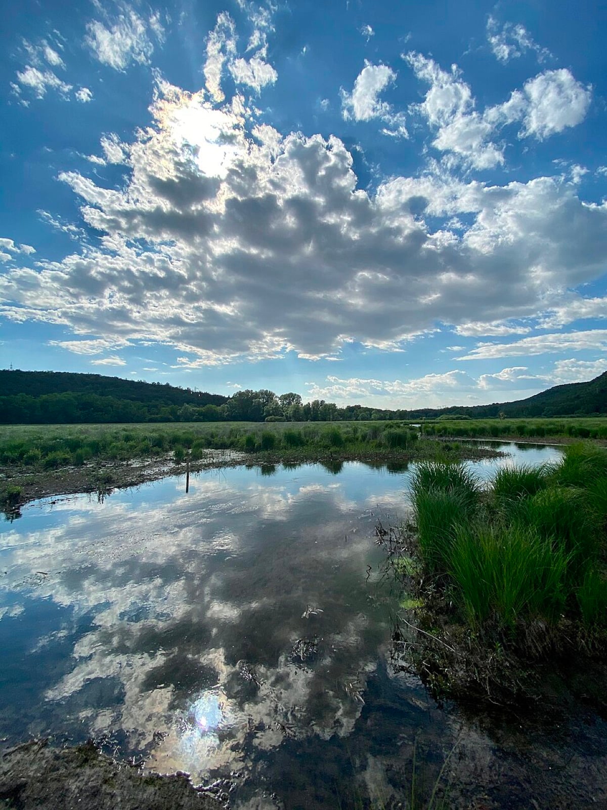 Laghi di Doberdò: il confine invisibile dove la natura e la storia si sfiorano - Foto: Petra Cattaruzza/Wikipedia