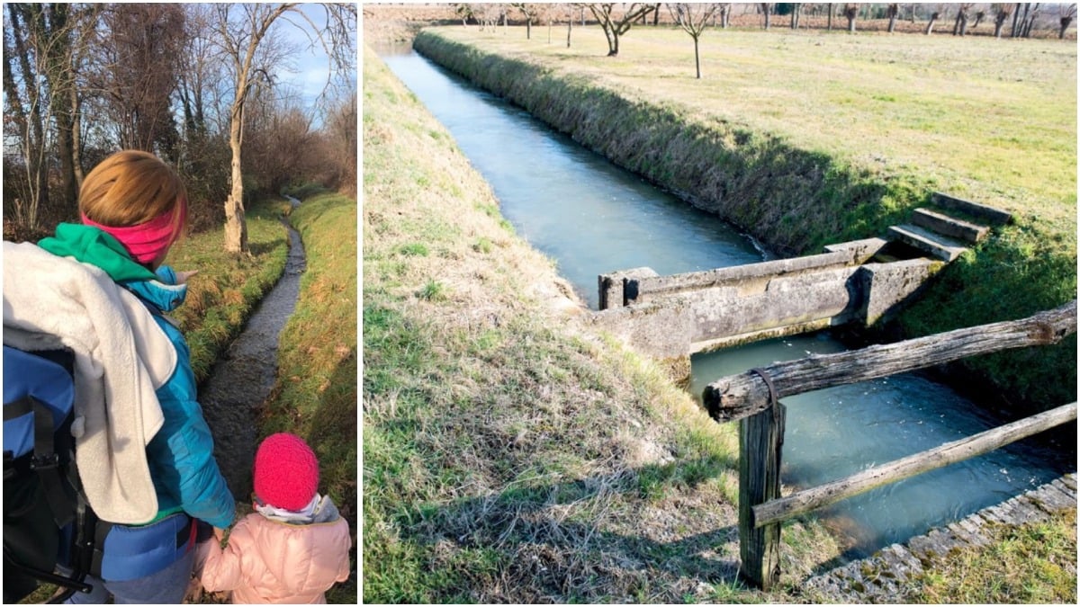 Roiello, tra storia e futuro: ecco il nuovo progetto lanciato da Udine e Pradamano - 