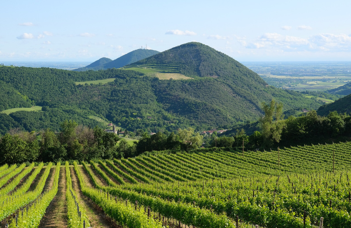 I vulcani dimenticati che salvano la pianura padana - Foto: kallerna/Wikipedia