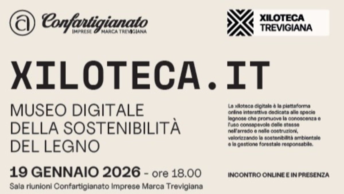 A Treviso nasce il primo museo digitale del legno sostenibile: ecco Xiloteca.it - 