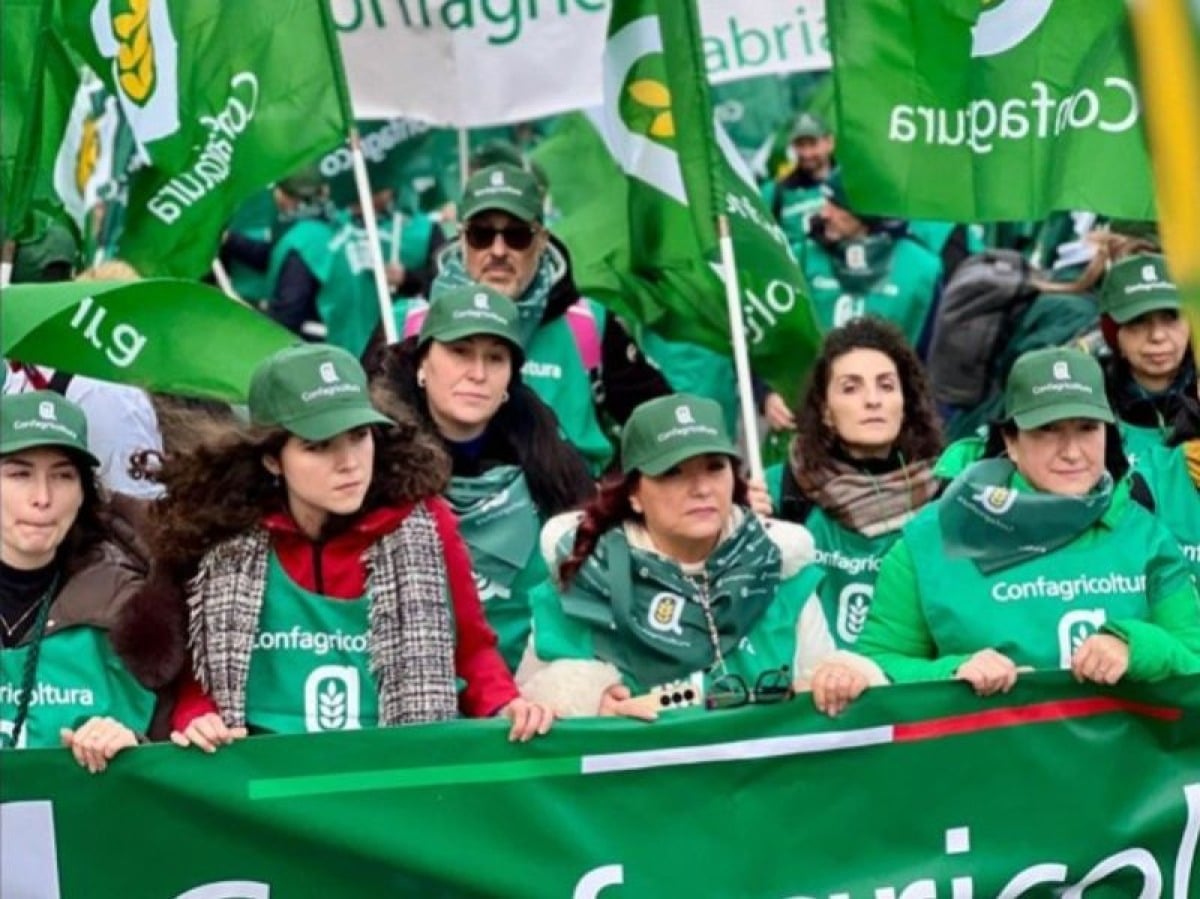 Mercosur, allarme dagli agricoltori: servono regole uguali per tutti - 