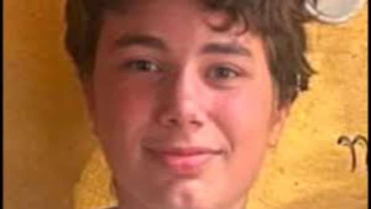 Diego scomparso da 5 giorni, la pista TikTok: caccia digitale al 14enne - 