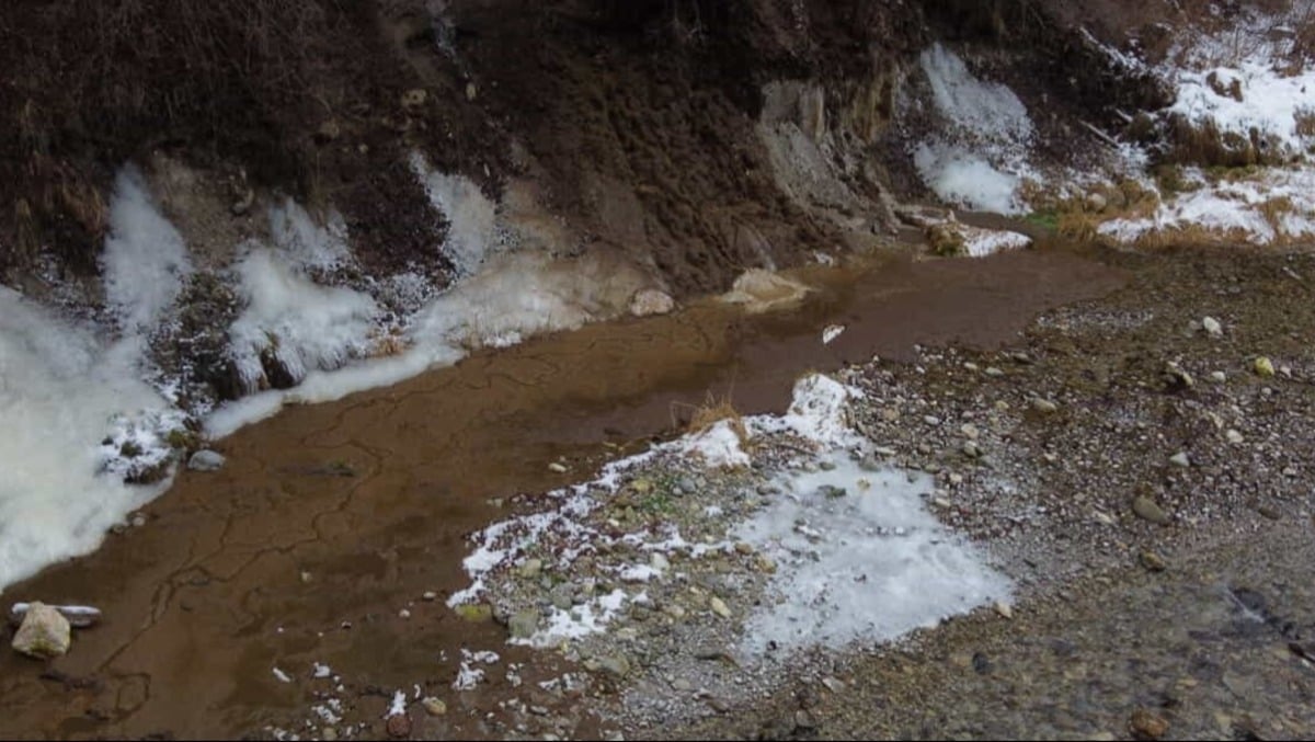 Allarme ambientale in Trentino, rifiuti e liquami nel Sarca: la denuncia di "Bearsandothers" - 