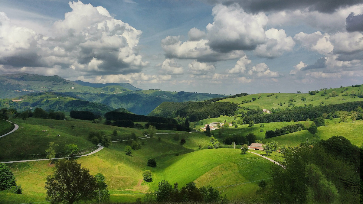 Lessinia tra pascoli eterni: ecco perché l'uomo li difende dal bosco che avanza - Foto: rossomoto/Wikipedia