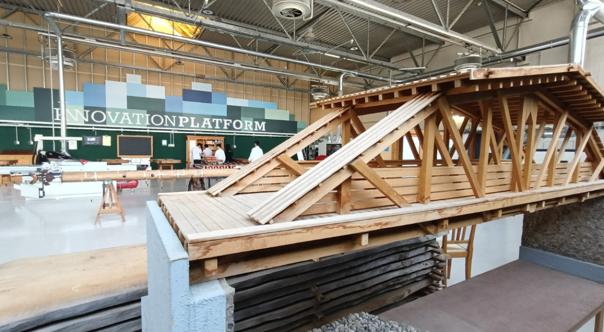 Tolmezzo, all’Isis Solari parte un nuovo indirizzo quadriennale: il tecnico geo-forestale - 