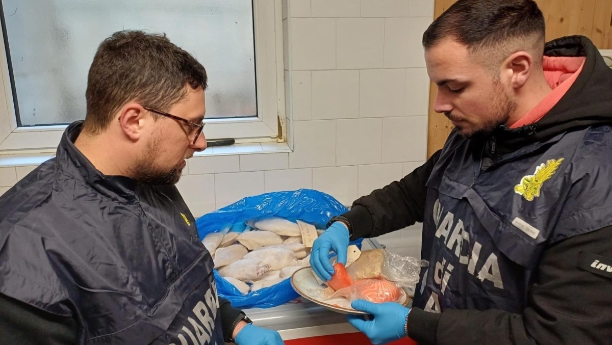 Pesce senza tracciabilità destinato alle tavole: maxi-sequestro da 48kg - 