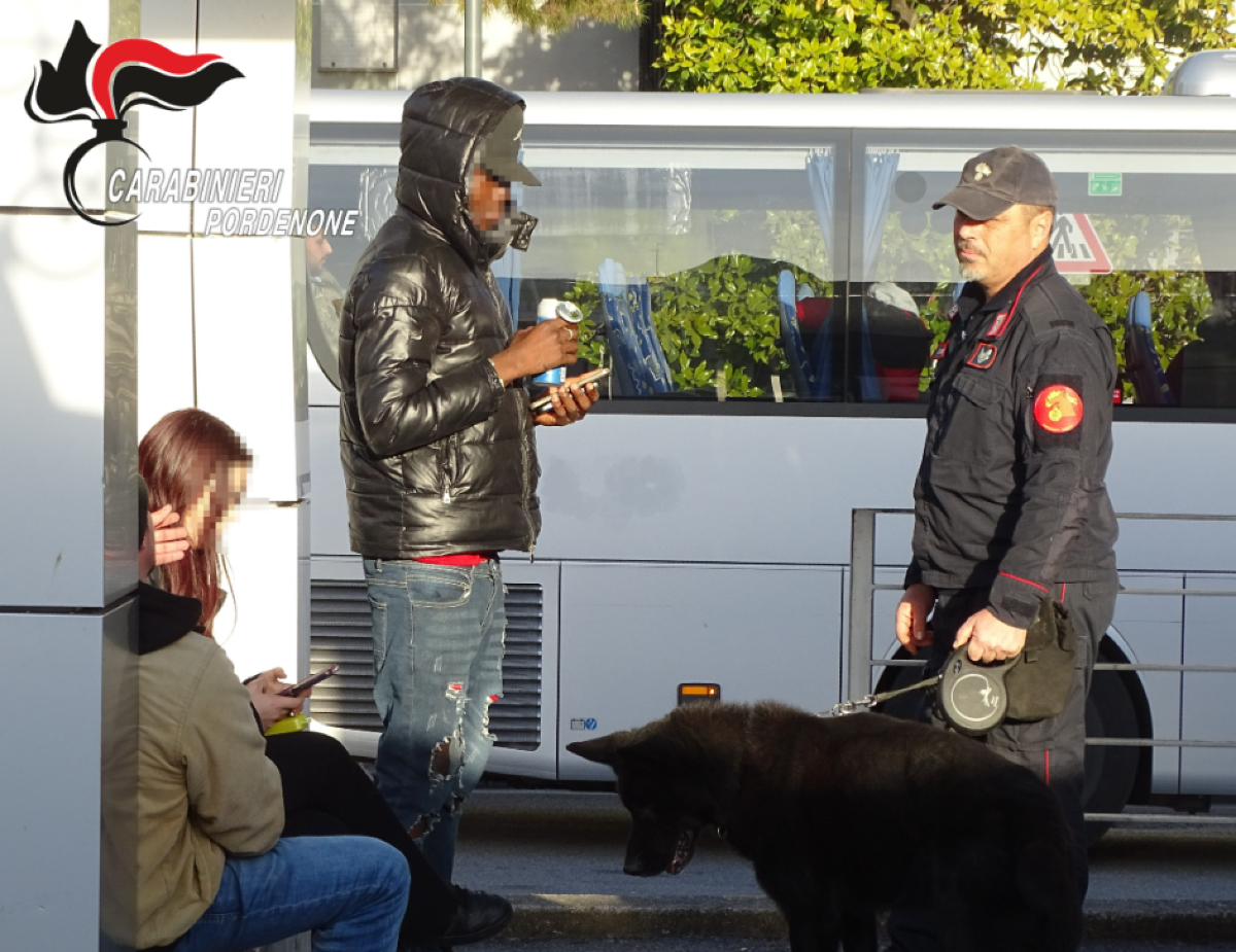Spaccio di droga, un coltello e arresti: cosa è successo a Pordenone